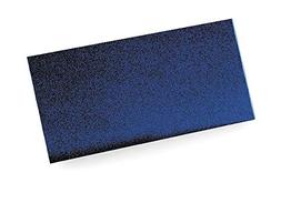 Sellstrom Glass Plate, Heat Treated, 2x4.25, Shade 12-16512 